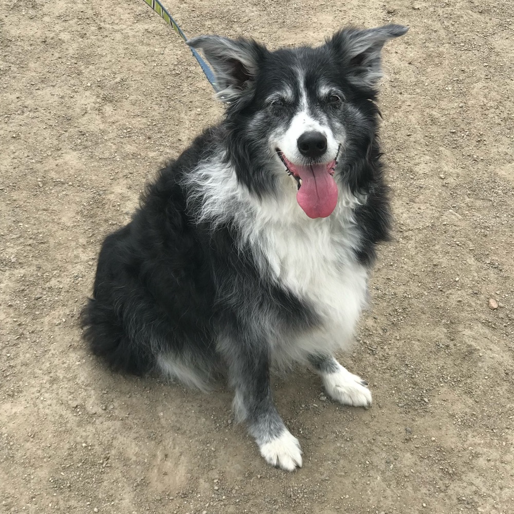 Meet your Posher, Jen